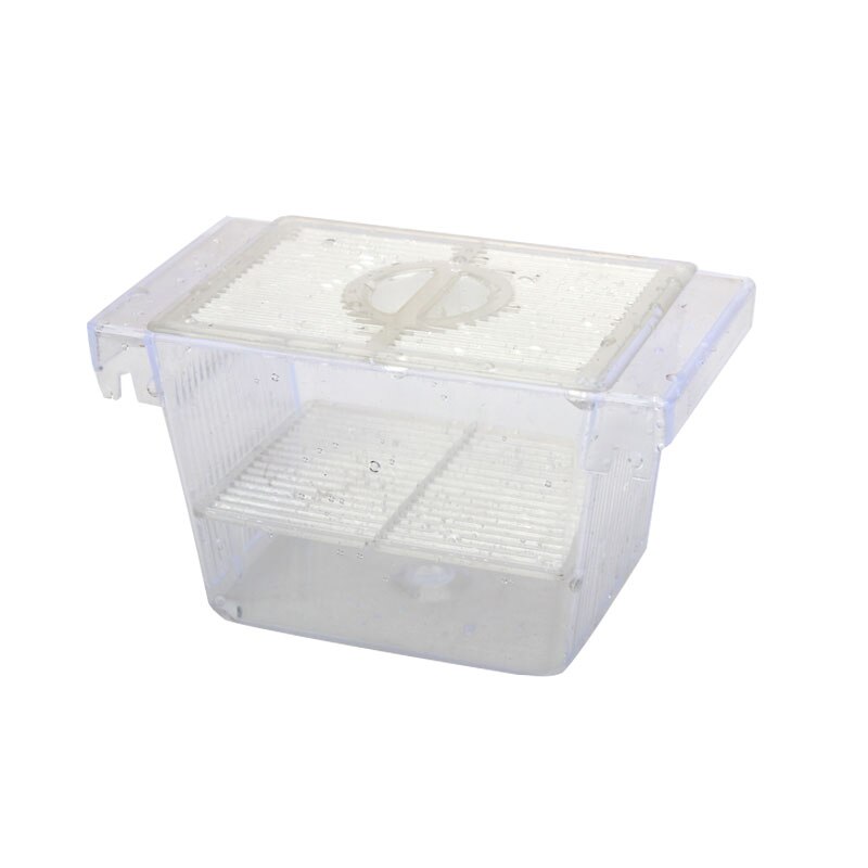 Joli Aquarium à la , réservoir de poissons Guppy, Double élevage, piège, boîte d'élevage, couveuse DNJ998