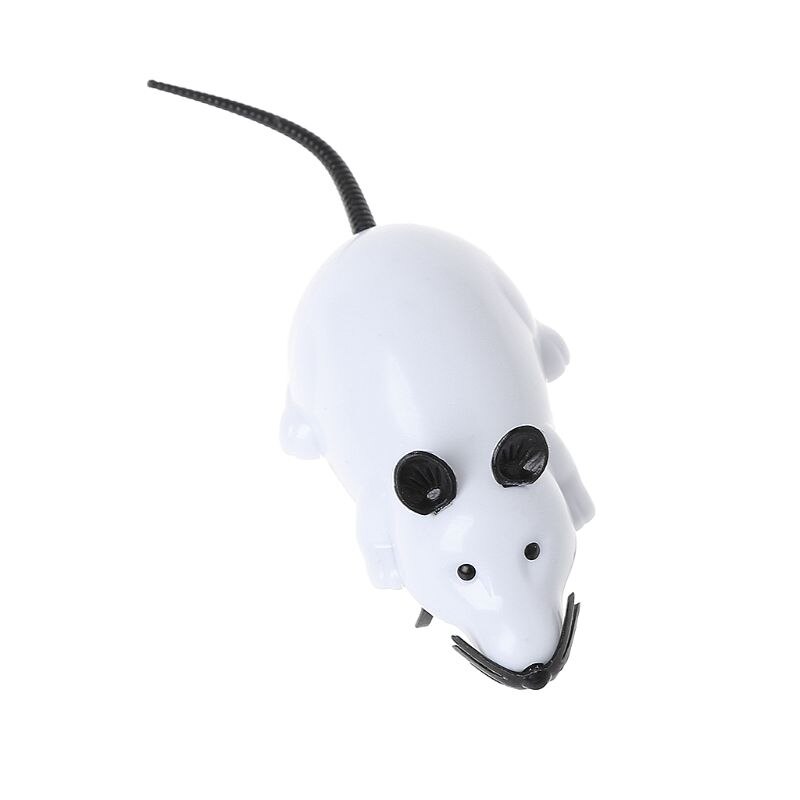 Chat de compagnie jouant des jouets faux souris électrique fourmi couinement jouet interactif Y4QA