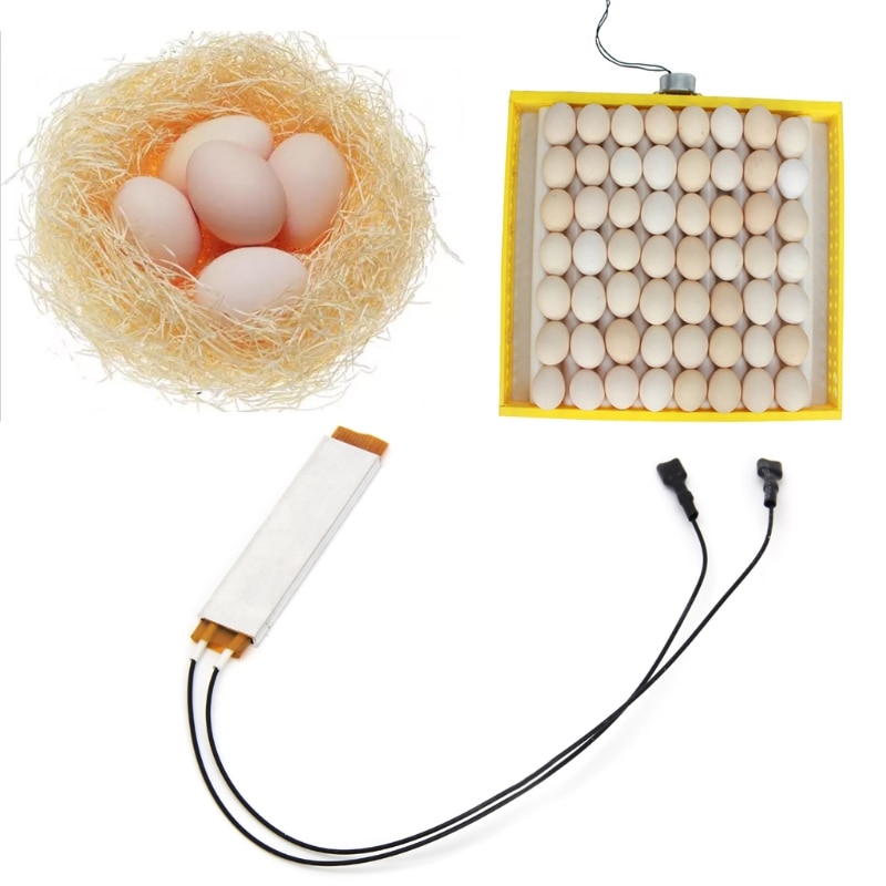Calentador de la incubadora, 1 Uds., placa de elemento de calentamiento para huevos, accesorios para incubadora 110V 220V