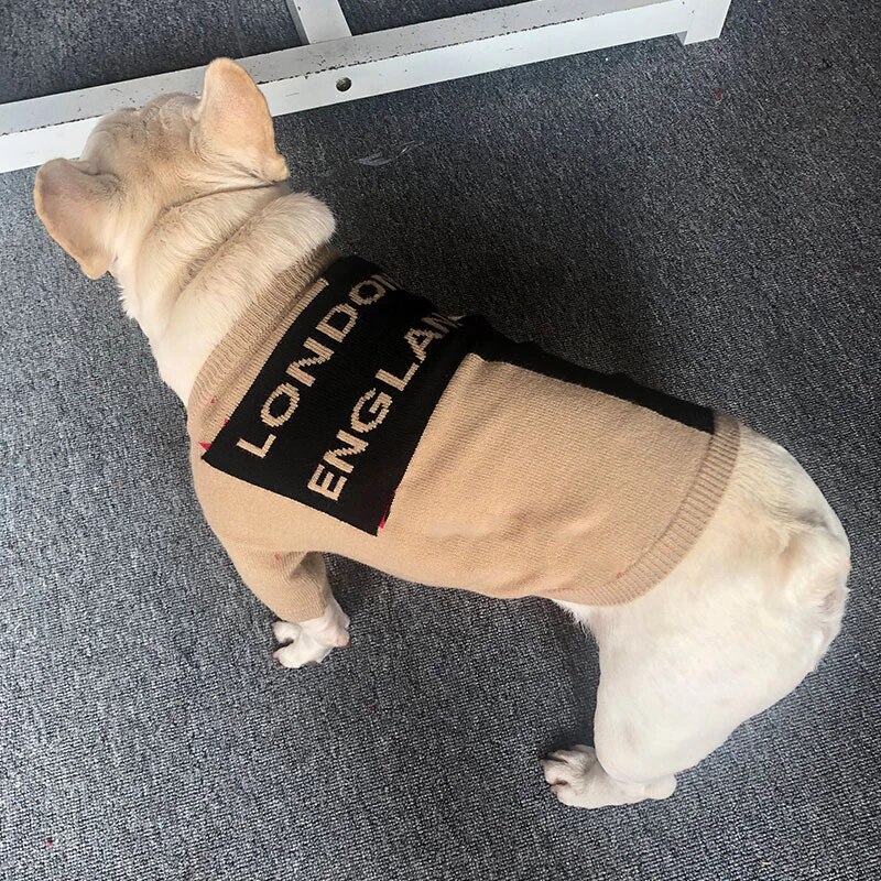 Bouledogue français hiver pull londres angleterre vêtements luxe chien manteau Teddy Chihuahua carlin chiot pull