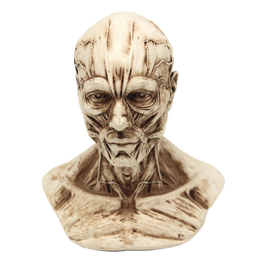 [mgt] skulptur muskuloskeletal hodeskalle byste liten gips hjem dekorasjon harpiks kunst og håndverk skisse praksis dekorasjon kontor: Grå