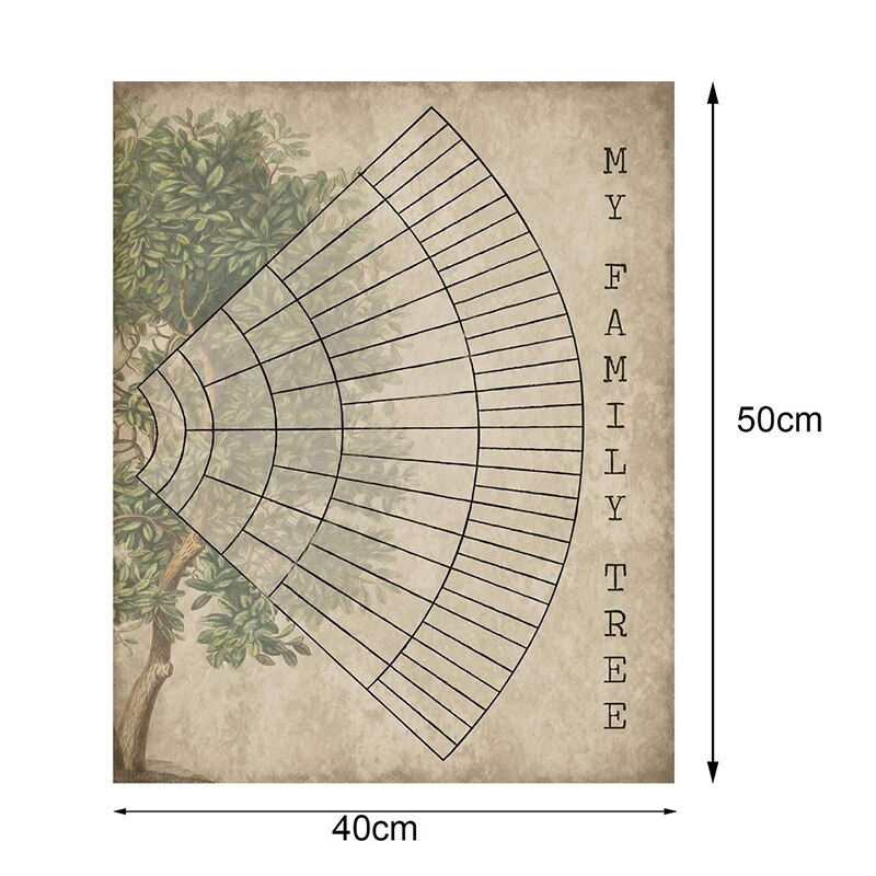 Familie Boom Grafiek Te Vullen In 5/6/7 Generatie Genealogie Poster Blank Invulbare Voorouders Grafiek: a