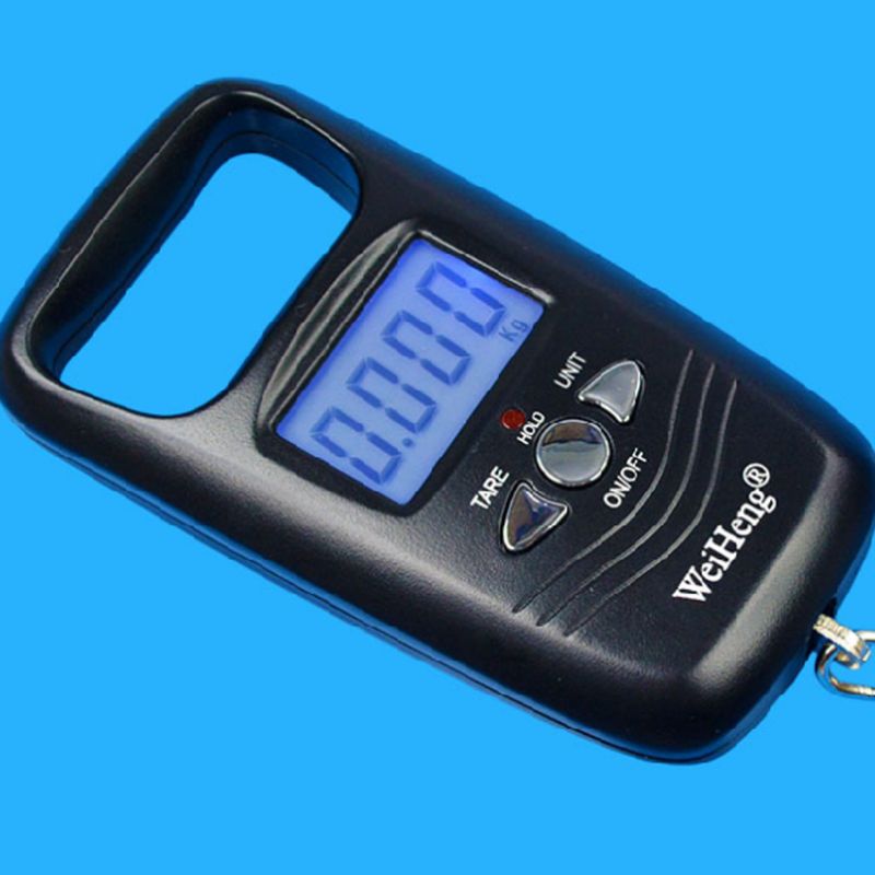 Mini Electronic Portable Scale Fishing Spring Electronic Scale Express Luggage Scale 50 kg