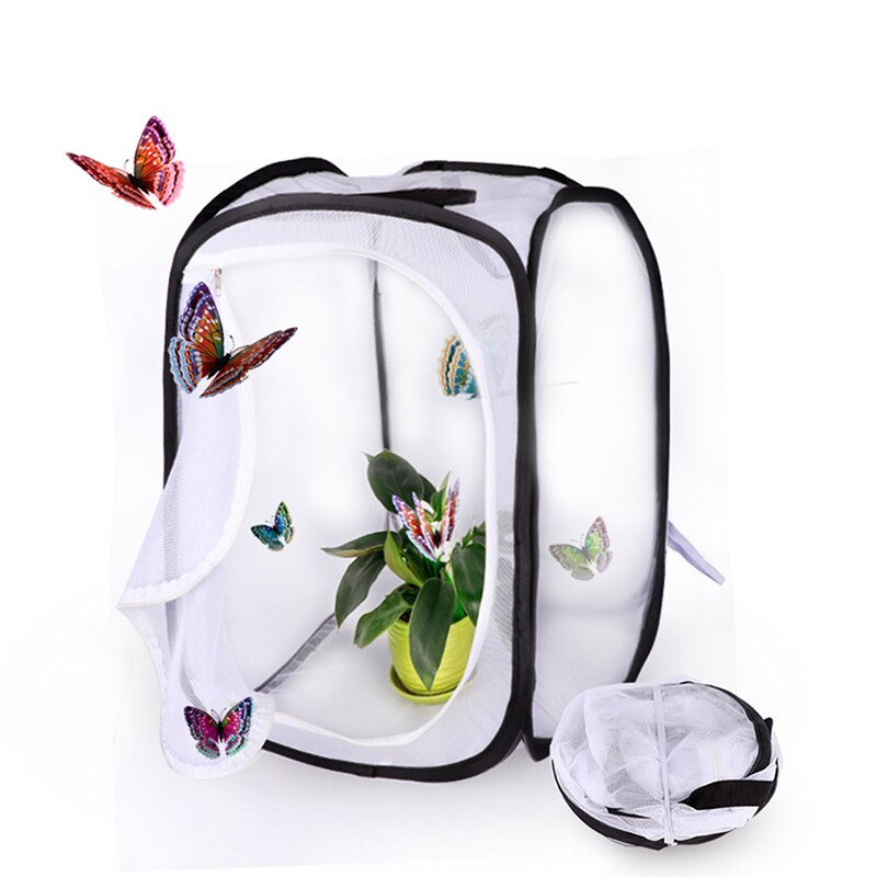Jaula para criar insectos, jaula para mariposas, cercado