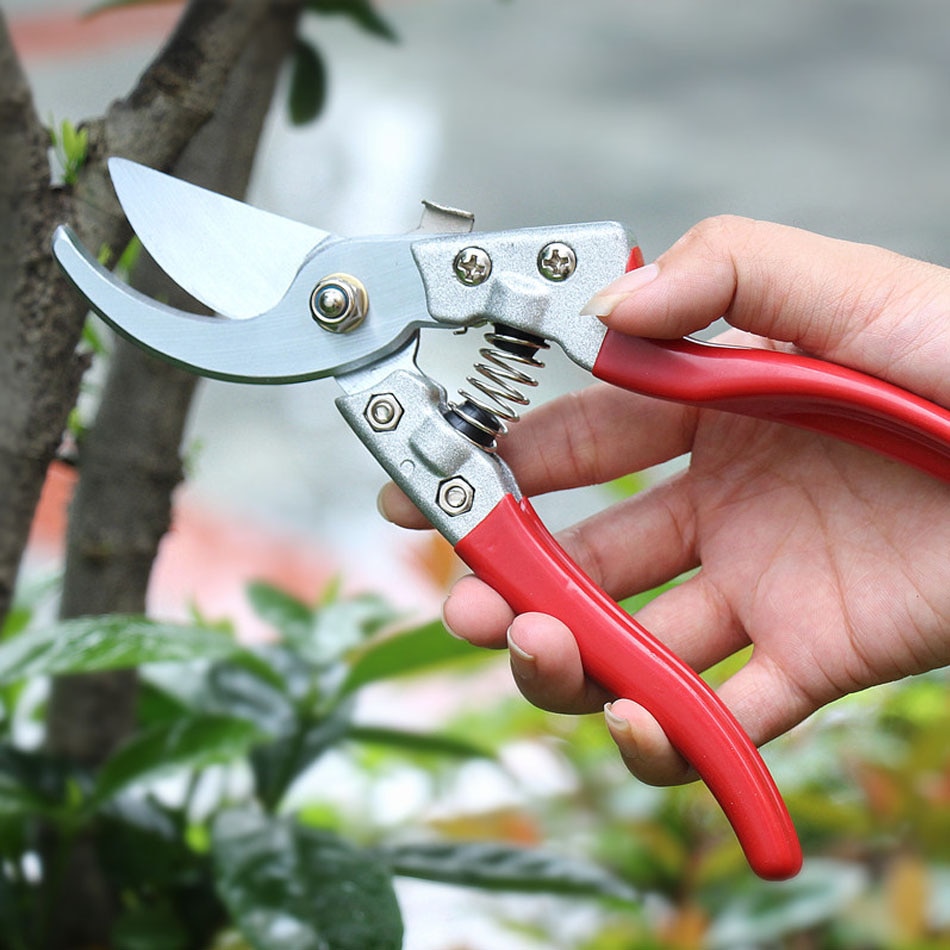 ZJCOSTOL-outils de jardinage SK5 ciseaux d'élagage à coude de jardinage, ciseaux pour bonsaï arbres fleurs, gain de travail, outil de coupe