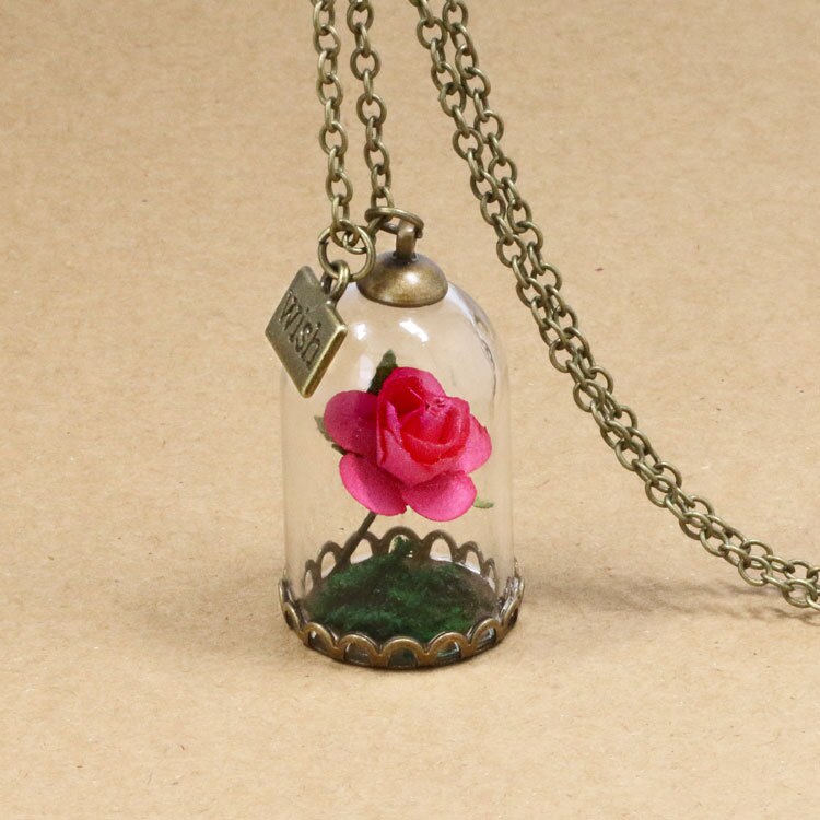 Schoonheid en Het Beest Retro Glazen Flacon Ketting Vlinder Wens Accessoires Ketting Rode Rose Gedroogde Bloem Sieraden voor Vrouwen Meisjes: 2