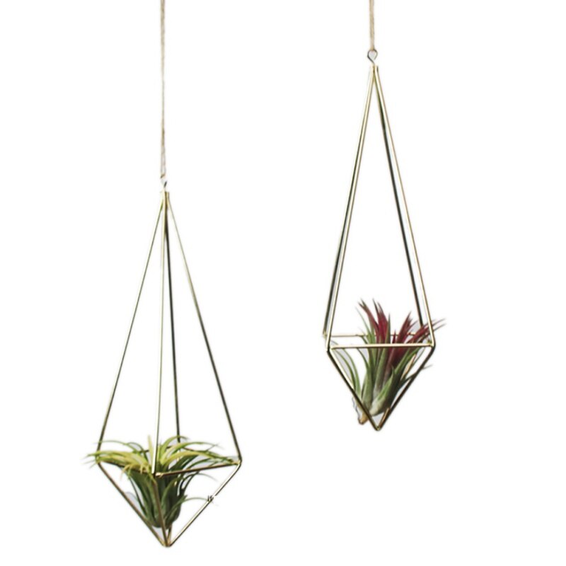 Autoportant suspendu métal Tillandsia Air plante support étagères quadrilatère pyramide forme géométrique creux pots de fleurs!