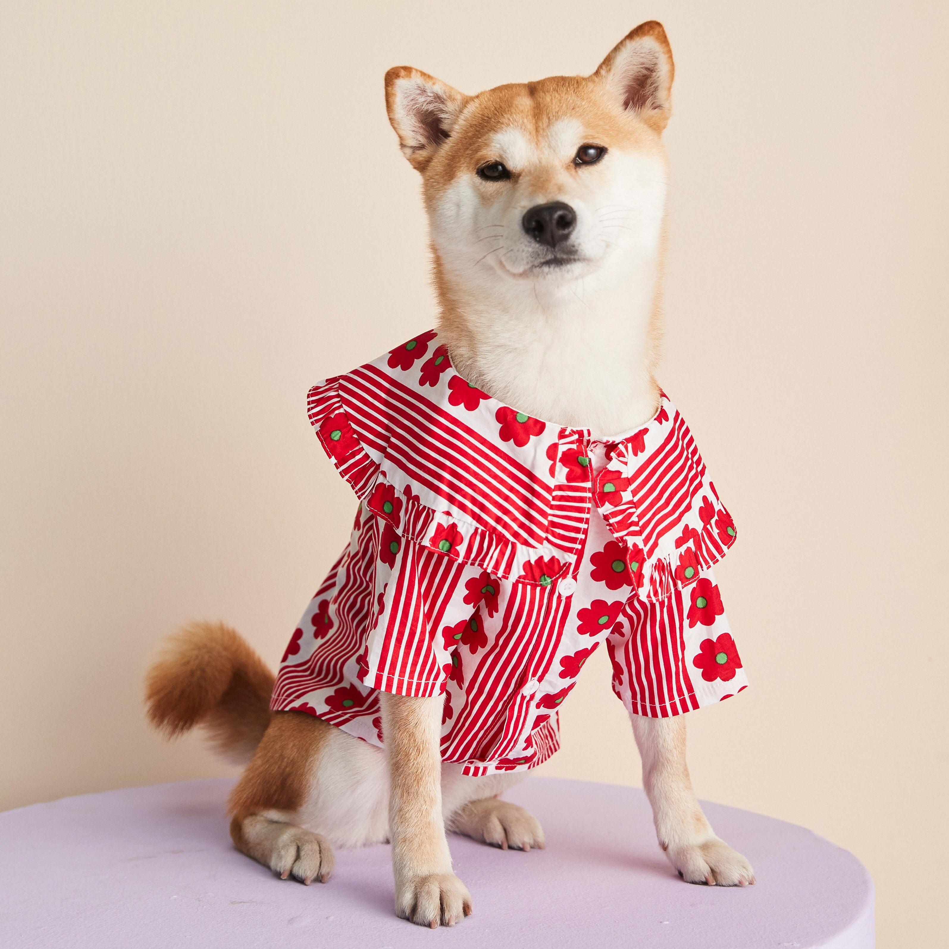 Dog clothes spring and summer thin lotus leaf flower shirt Teddy Schnauzer Pomeranian fighting Shiba Inu cat pet clothes