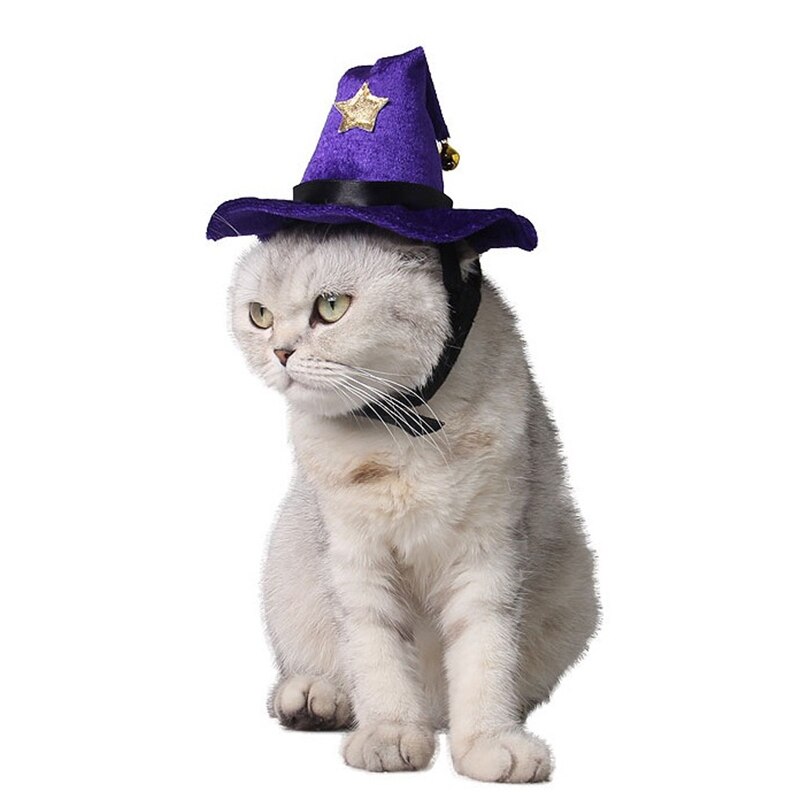 Halloween heks hat kat tilbehør sjov kasket til små hunde hvalp påklædning fest dekorationer kæledyrsprodukter forsyninger