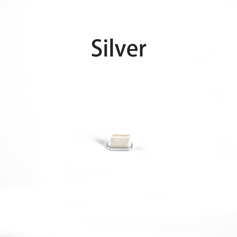 Protezione anti-polvere della copertura della porta USB delle colonna vertebrale con la copertura di USB-C tappi anti-polvere Pluggy: Argento