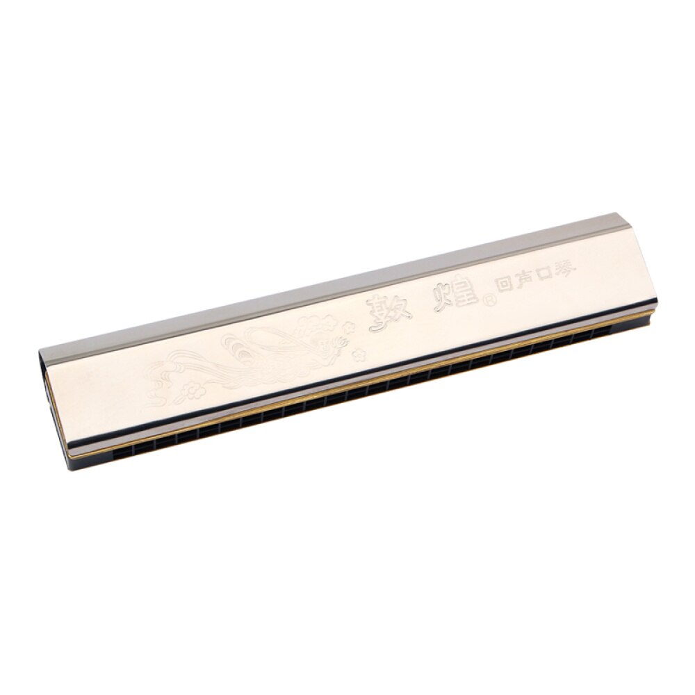 Rvs Harmonica Mond Instrumenten Voor Beginner