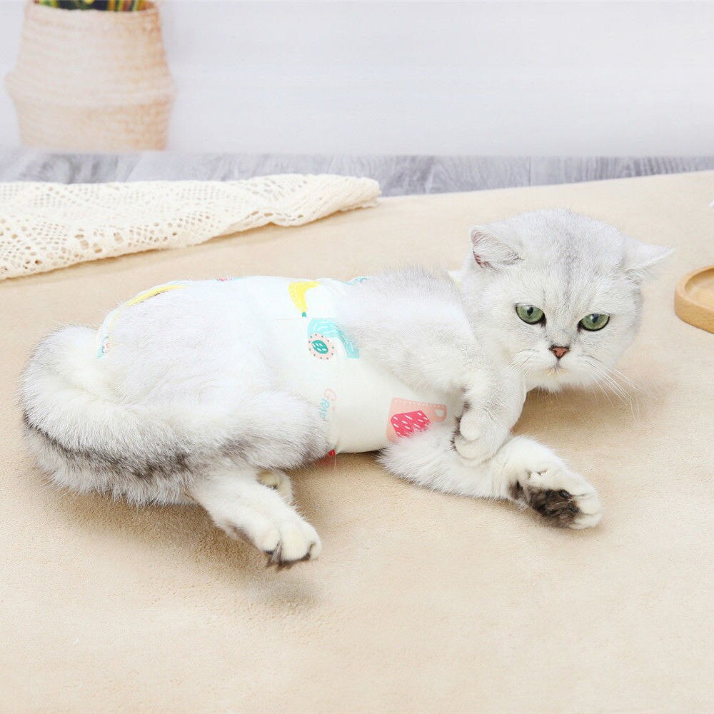 Bata quirúrgica de gato para mujer, ropa de esterilización para mascotas, antipérdida de pelo, suministros para mascotas