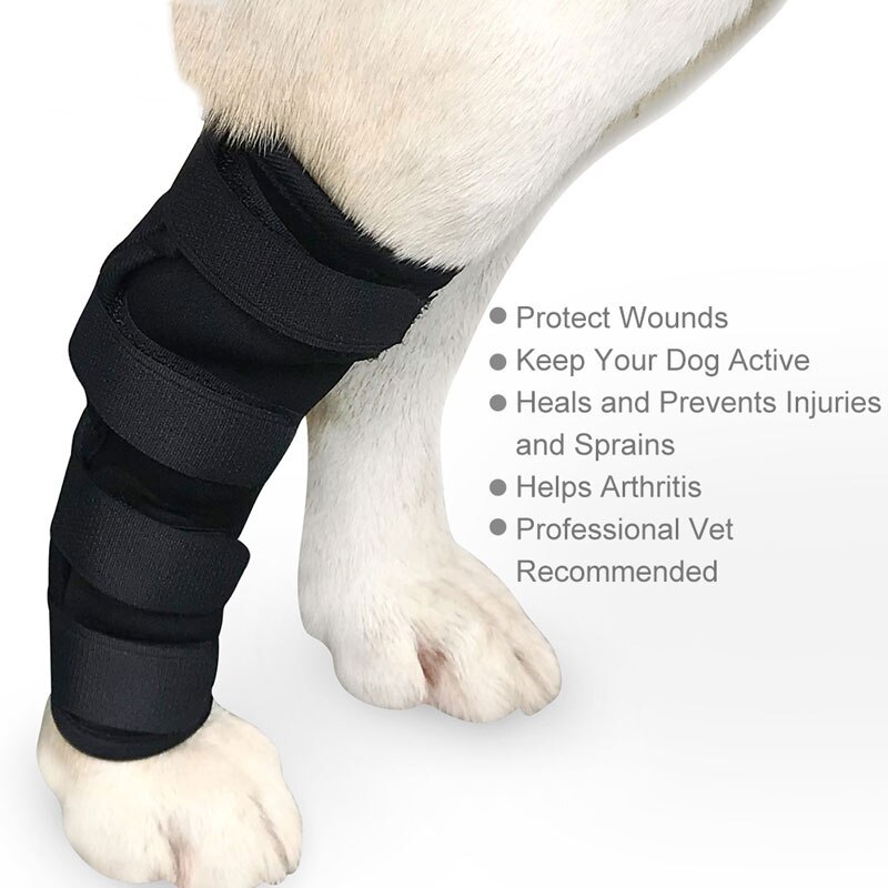 Sorte ben bøjle kæledyr hund knæhock beskytter hunde pad terapeutisk støtte stødsikker udendørs træning beskytte