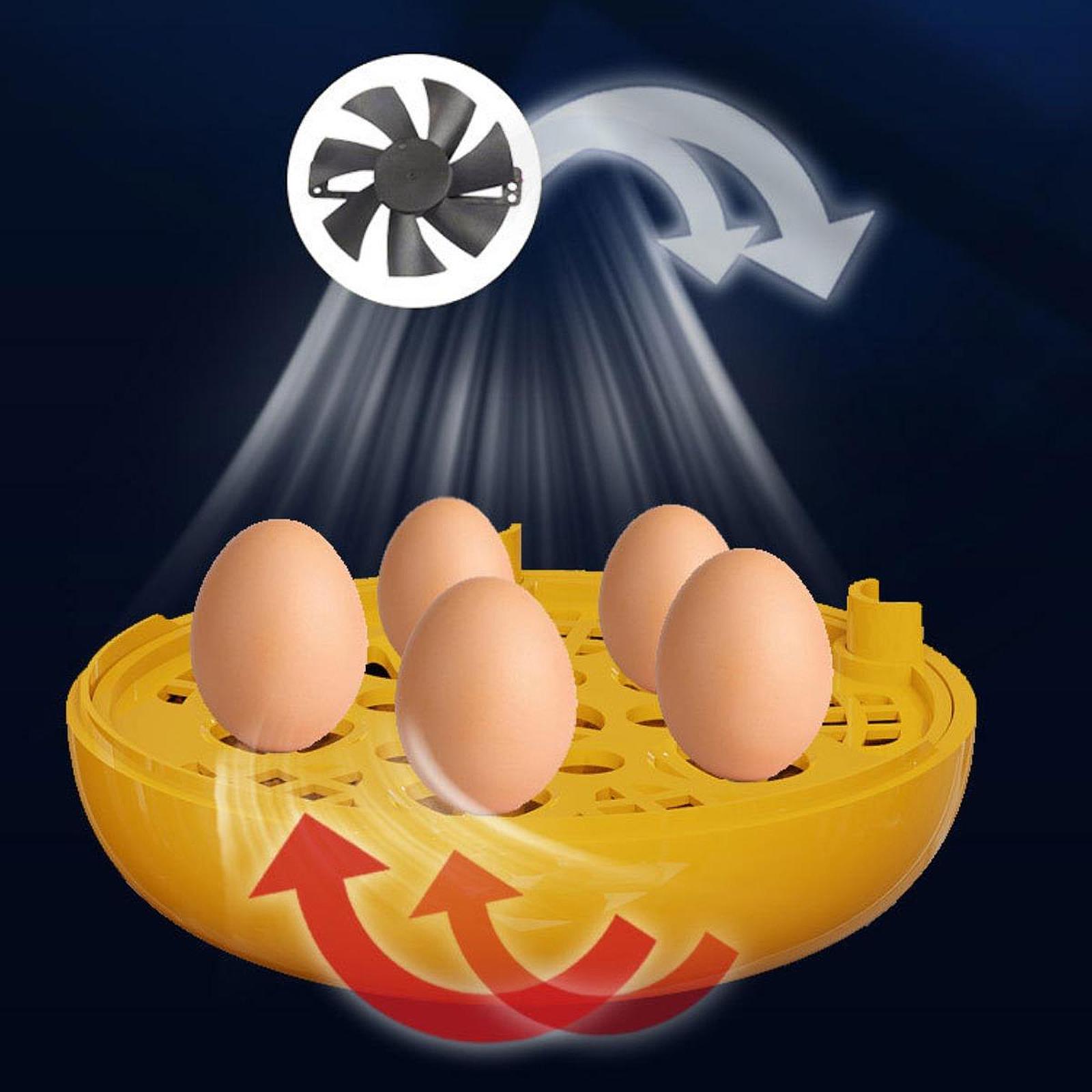 Egg Incubator Sturdy Intelligent Temperature Control Lightweight Hatching Machine for Chicken Poultry Pigeon Duck Quail Goose