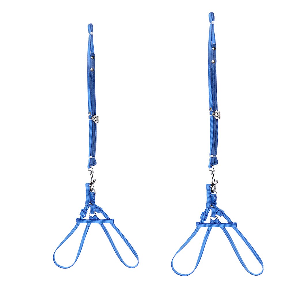 Reptile Lizard Gecko Bearded Dragon Harness And Leash Adjustable Light Anti-bite