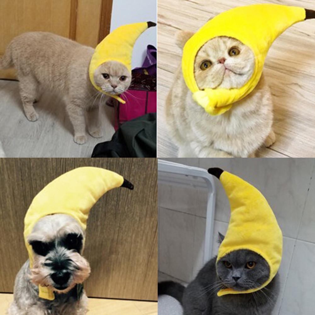 Cappello animale domestico Gatto Cane di Piccola Taglia Festival Divertente Copricapi Forma di Banana Copricapo Per I Gatti Gattino Cuccioli