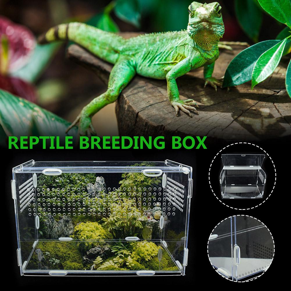 Transparante Acryl Terrarium Reptile Kweekbak Spider Hagedis Kikker Cri Terrarium Reptiel Fokkerij Doos