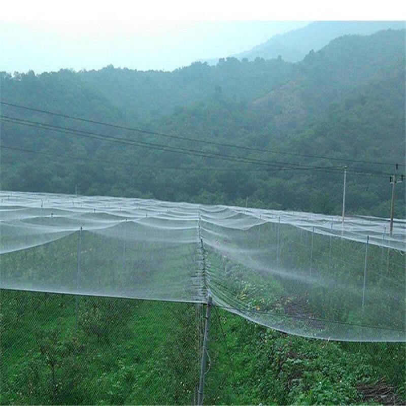 5m frugtplantage fuglsikker netto havebrug hvidt nylonnet jordbær druebeskyttelsesnet