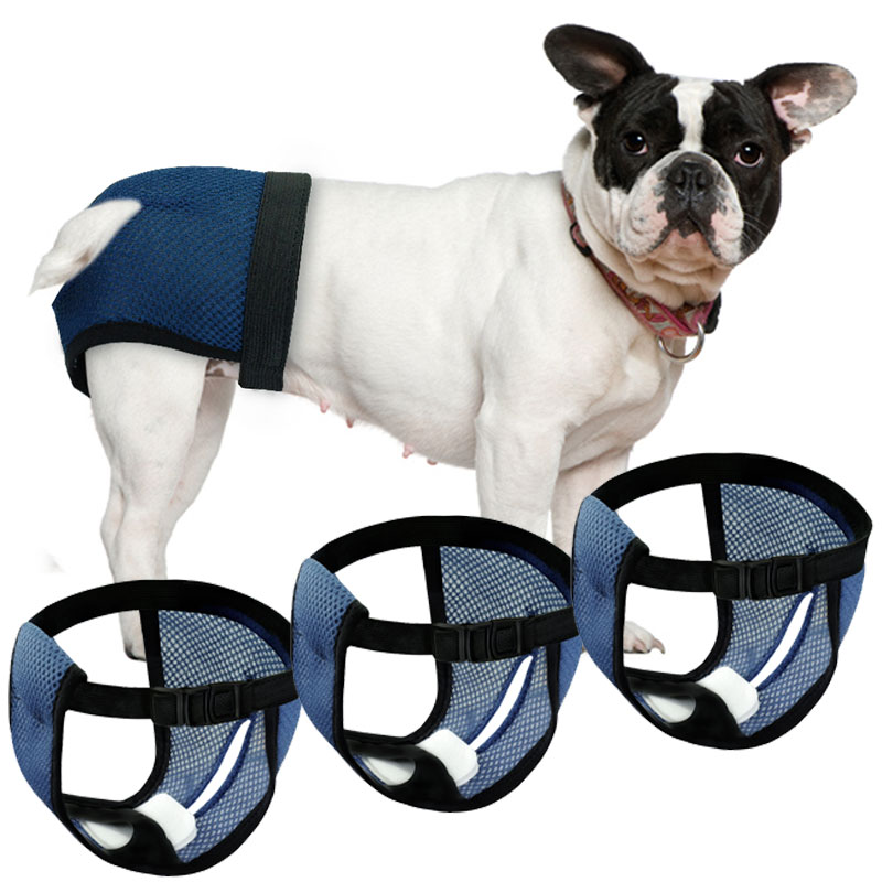 Couche physiologique pour chien et chiot femelle,serviette hygiénique, sous-vêtement/short pour chienne, accessoires pour animaux de compagnie