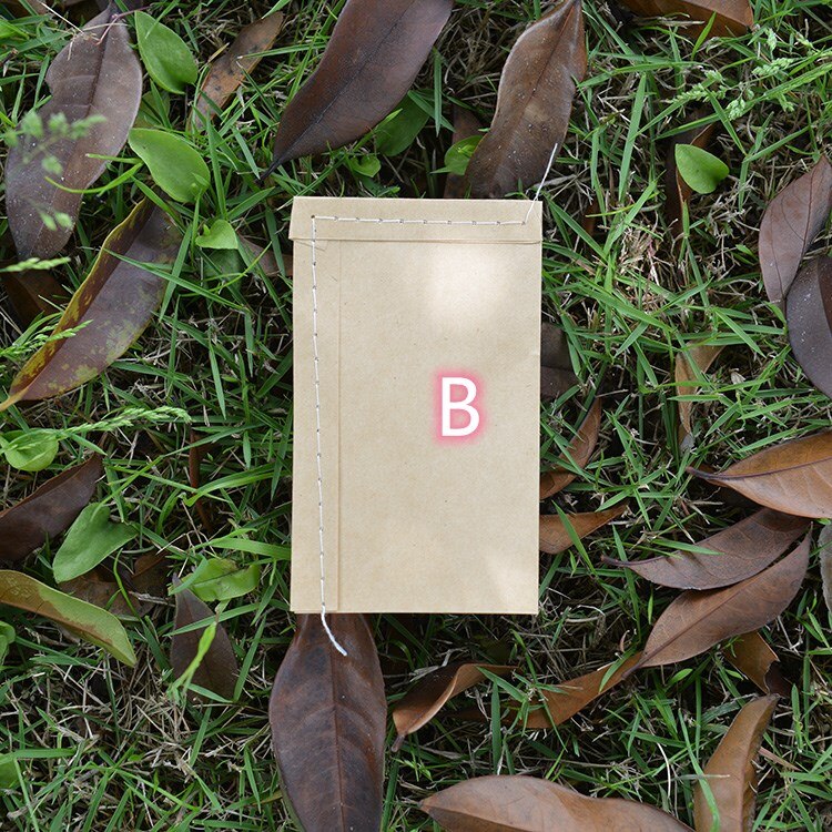 Kraft Paper Seed Envelopes Mini Packets Envelopes Garden Storage Bag For Plant Fruit Kraft Paper Bag Food Tea Small Storage: A