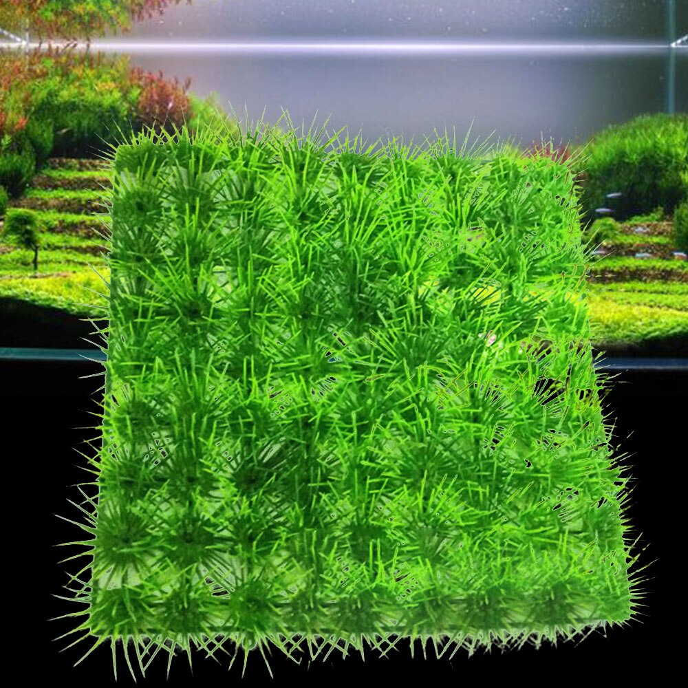 Aquarium Plant Fijne Dennennaald Gazon Groeiende Aquarium Water Plant Gras Zaad Aquarium Gazon Decor