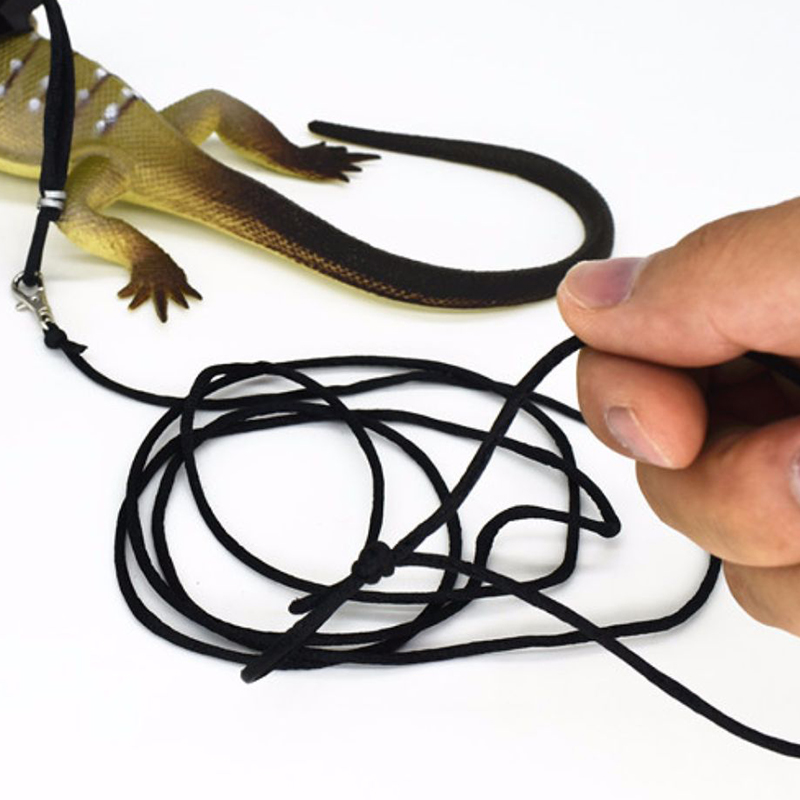 Pet Leash Lizard Towing Rope Small Squirrel Green Iguana Lion Lizard Reptile Collar Out Towing Rope To Prevent Escape Pet suppli