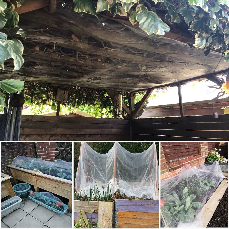 Garten Insekten Schutz Netz Pflanze Gemüse Obst Pflege Abdeckung Netzwerk Gewächshaus Schutznetz Schädlingsbekämpfung Anti-Vogelnetz