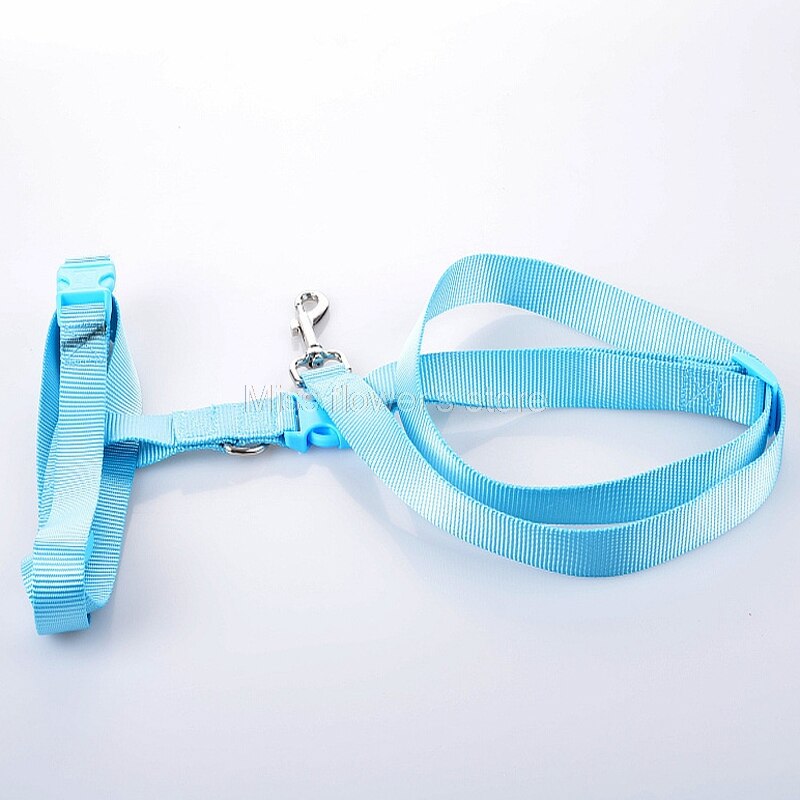 1 PCS Pet Hond Running Walking Jogging Verstelbare Handsfree Leash Taille Riem: Blue