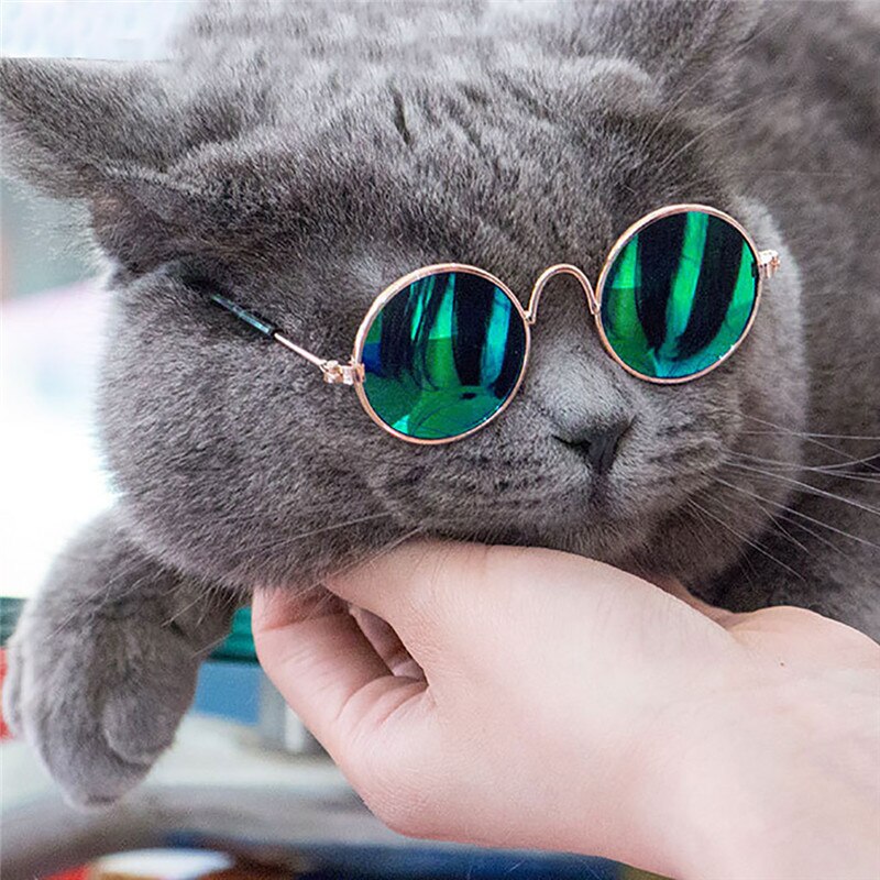 Mascotas gafas de sol perro ojo usar gafas perrito gafas fotos Accesorios para perros y gatos, suministros para mascotas para perros productos @ 5