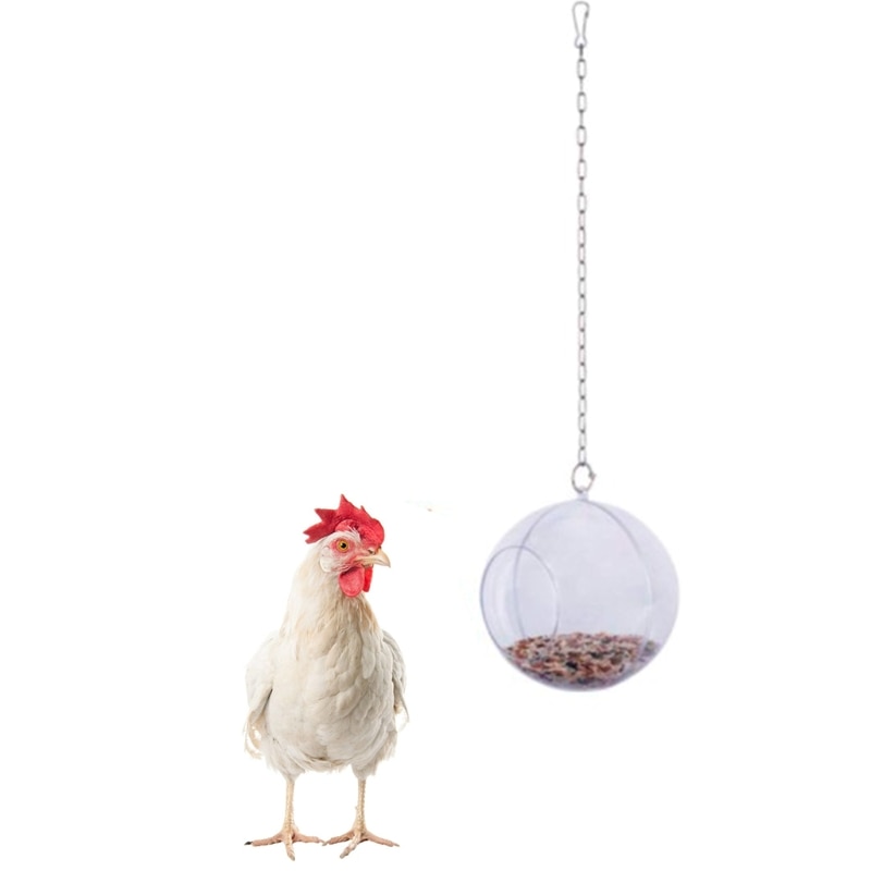 Bird Hanging Feeder Chicken Hen Pet Foraging Food Holder Veggies Fruit Dispenser