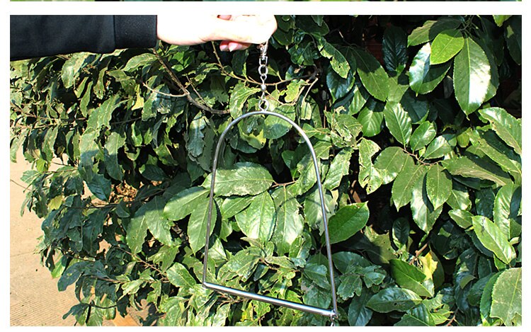 Creativo Uccello del Pappagallo Zampa Giocattolo Altalena Appeso FAI DA TE Uccello Gabbia Parrocchetto Pesce Persico Del Basamento Amaca Anello Ponte Forniture per Animali Da Compagnia di Trasporto libero