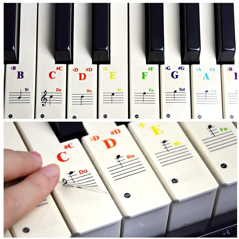 3 Pack Piano Keyboard Stickers for Beginners for 88/61/49/37 Keyboards - Removable and Transparent