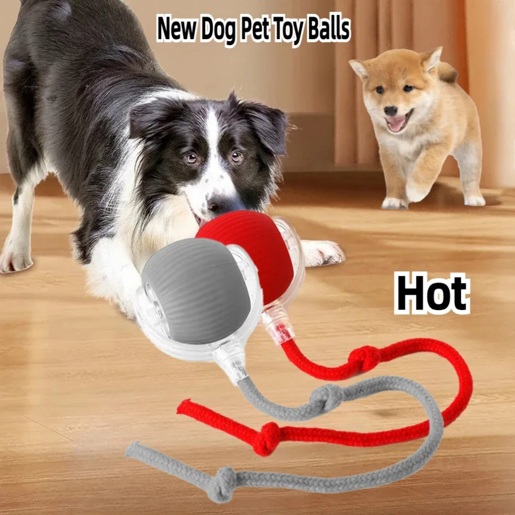 Bola rodante automática interactiva inteligente recargable para mascotas, productos para mascotas, juguete eléctrico con pelota para perros, cola simulada para gatos