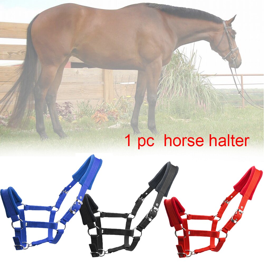 Horse Halter Fleece Padded Multiple Sizes Practical Protective Adjustable Strap Accessories Riding Equipment Double Layered