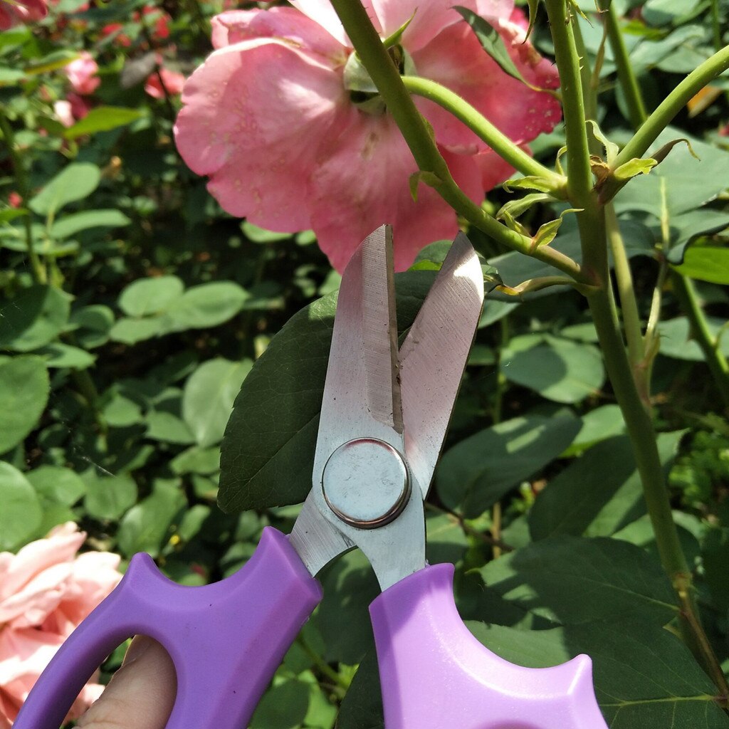 Floral garden shears stainless steel color garden flower pruning shears flower arrangement shears машинка для стрижки 50*