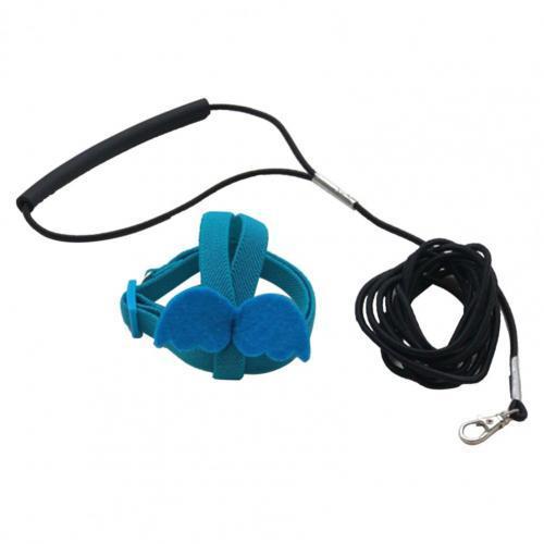 Lange Kabel Vogel Harnas Leash Anti-Bite Training Touw Decoratieve Lichtgewicht Parkiet Papegaai Vest Touw Voor Valkparkiet Kleine Vogels: M / Blauw