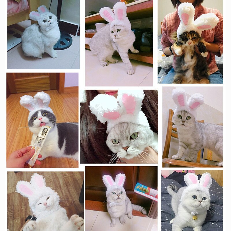 Accessori per gatti cappelli per gatti puntelli per prestazioni copricapo Cosplay Pet peluche coniglio orecchio copricapo orecchie da coniglio gatti cani copricapo per animali domestici