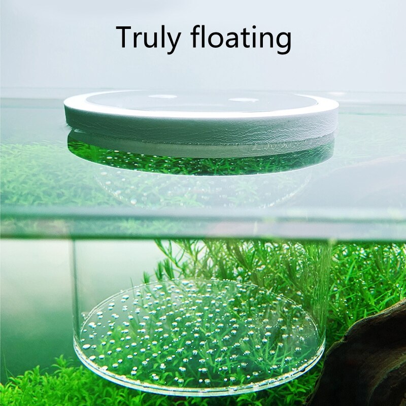 Fish Tank Isolation Box Separation Breeder Tanks Acrylic Transparent Floating Breeding Boxes Aquarium Mini Incubator