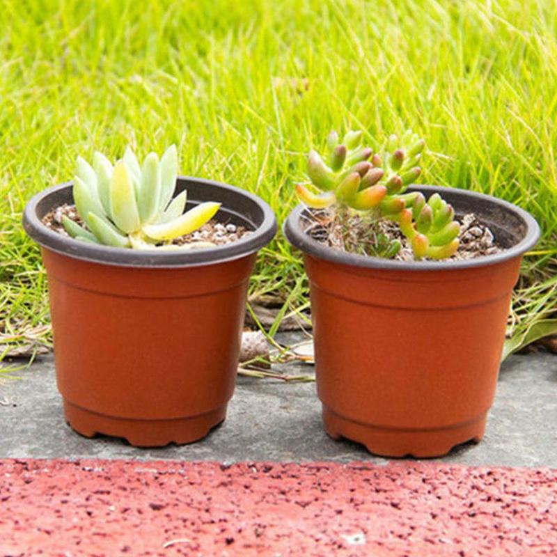 10 stuks eenvoudige kweekpot van plastic, tweekleurig, vetplanten, bloemen, groente, zaailingenbakje voor thuis, tuin, planten, kweekbakken