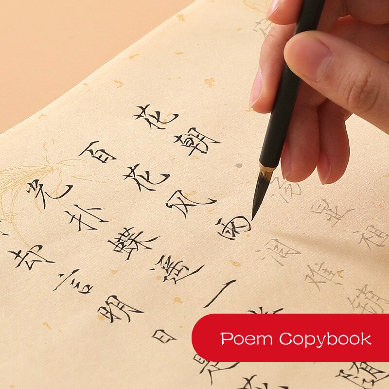 Xuan Paper Calligraphy Copybook Calligraphy Copybooks Set Song Huizong's Thin Gold Style Brush Caligrafia Copybook Sets