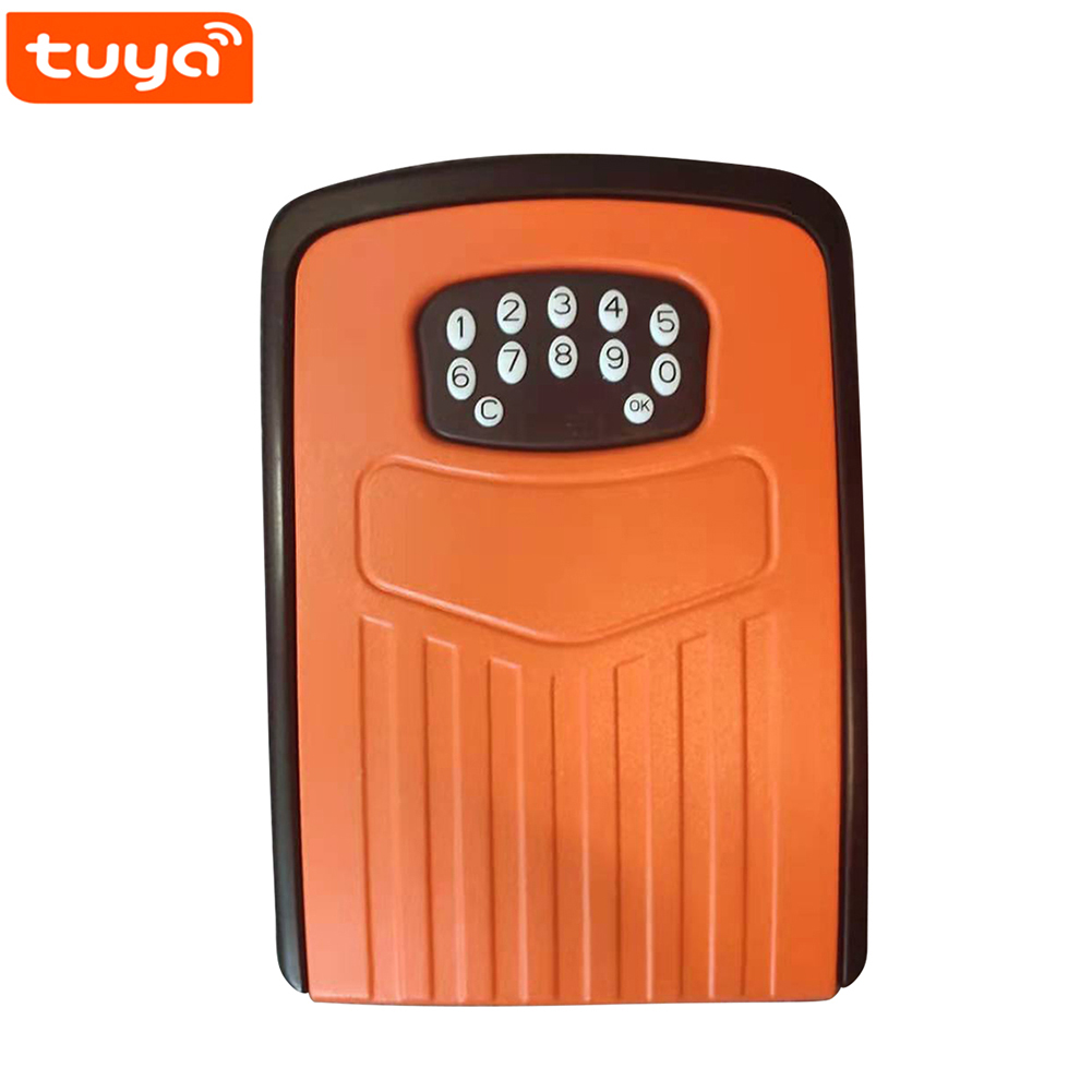 Smart Key Lock Box Tuya Wall Mount Smart Home Key Safe Box Weatherproof for Construction Sites Homestay Apartment: Orange