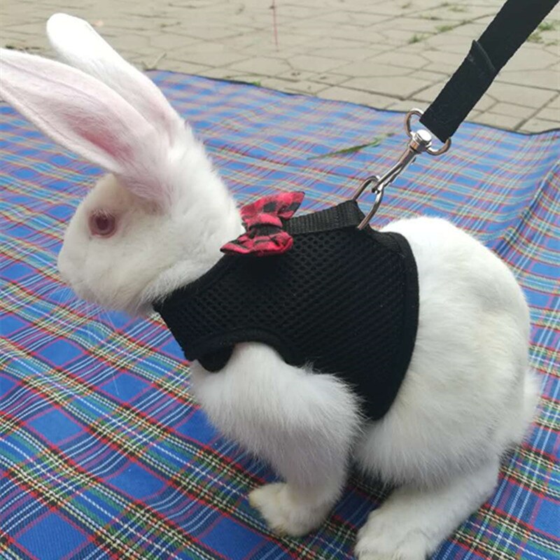Arnés de cuero de conejo para hámster y conejillo de indias, accesorios de , Collar de conejo, de cuero, para huret, Totoro: black / S