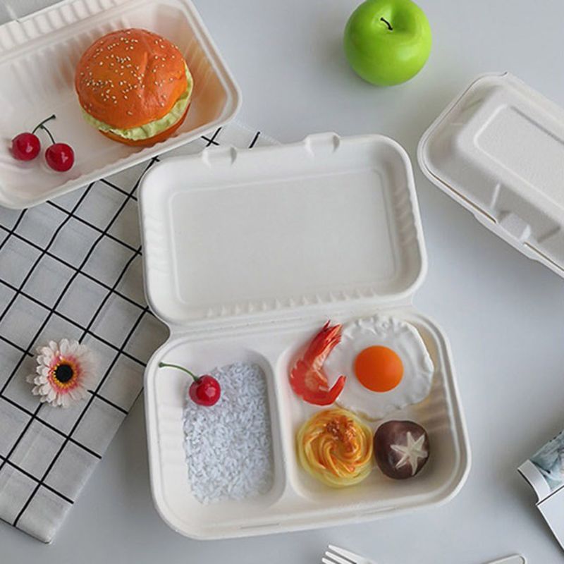 50Pcs/bag 1000ML Biodegradable Disposable Takeout Food Containers Leak Proof Rice Meal Holder Box with 2 Compartments