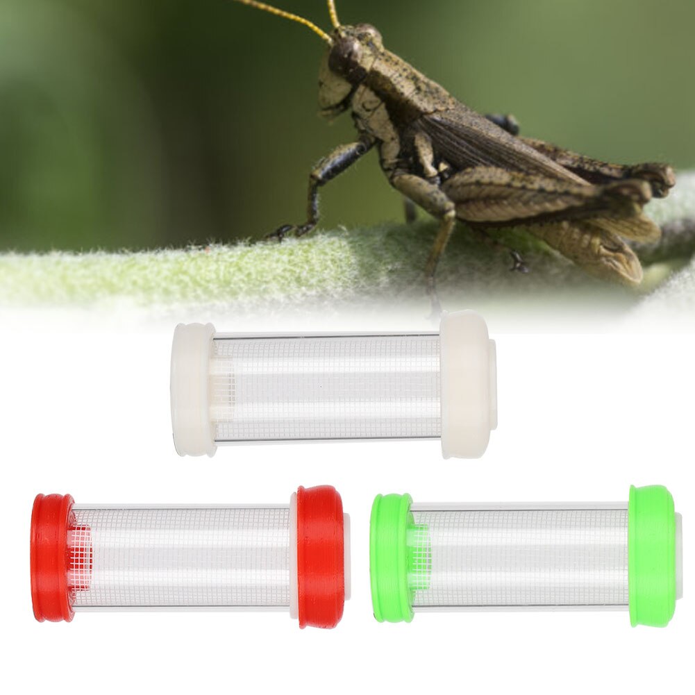 Hormigas, granja, hormiga, granja, crianza de Reptiles, caja de insectos, saltamontes, botella de tuit, caja de Alimentación de Mascotas para escalada redonda, Reptiles VIVOS