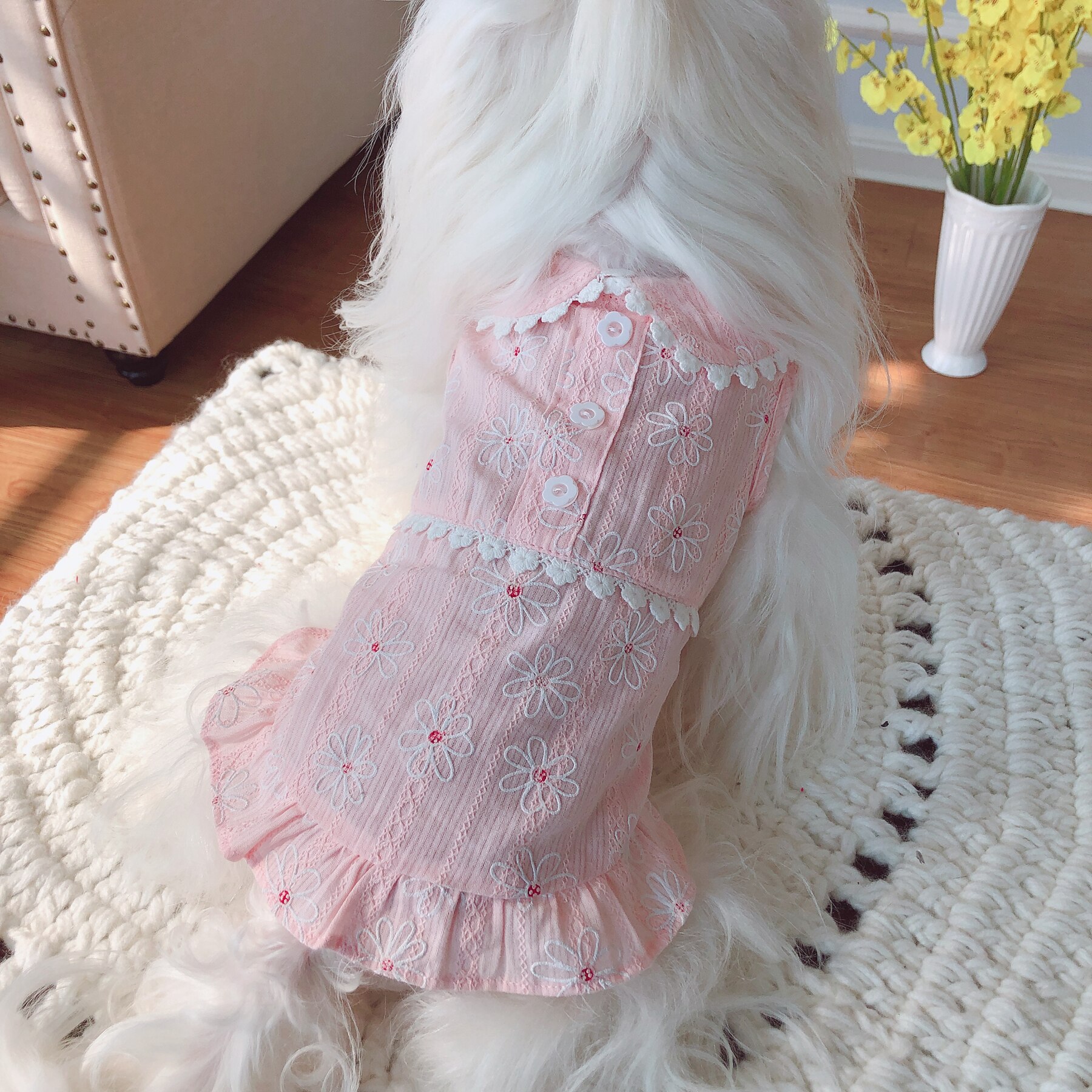 Vestido de verano para mascotas, ropa para perros y gatos, falda, Yorkie, Yorkshire, caniche, bichón, Pomeranian, Schnauzer