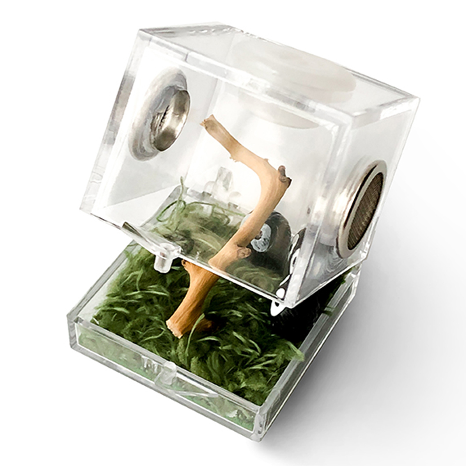 Jumping Spider Ant Small Insect Breeding Box Breathable Transparent Portable Acrylic Assembled Insect Eco Box Moss Carpet