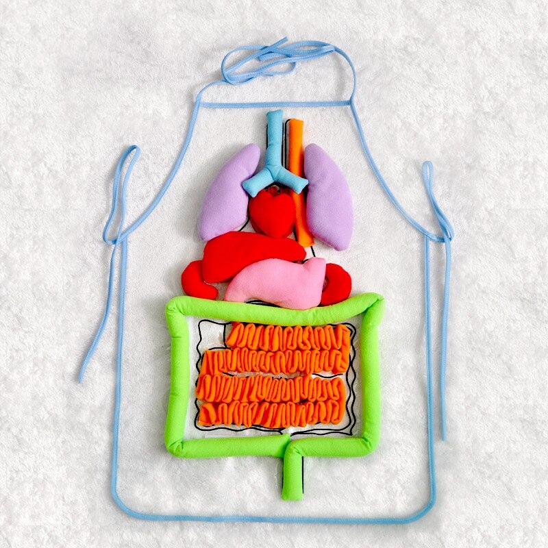 Anatomy Apron Human Body Organs Awareness Educational Insights Toys for Children Preschool Science Homeschool Teaching Aids