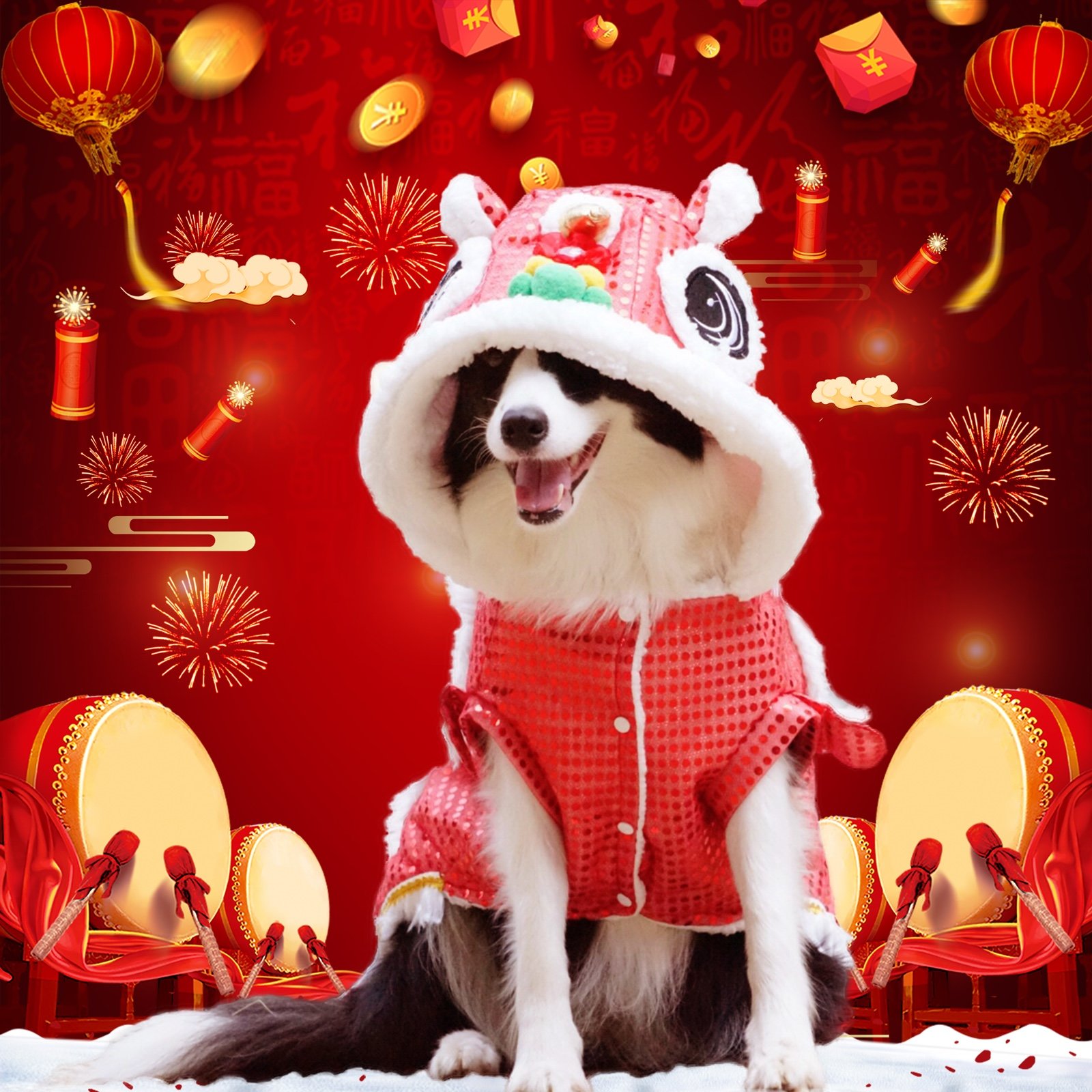 View of Flat Coat Dog Grooming Guide: Straight Hair Care for Goldendoodles ...