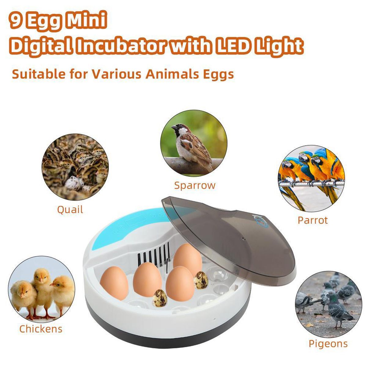 Farm Hatchery Incubator Brooder Machine 220V 9 Eggs Incubator Hatchery Equipment Farm Hatchery Incubator Brooder Machine
