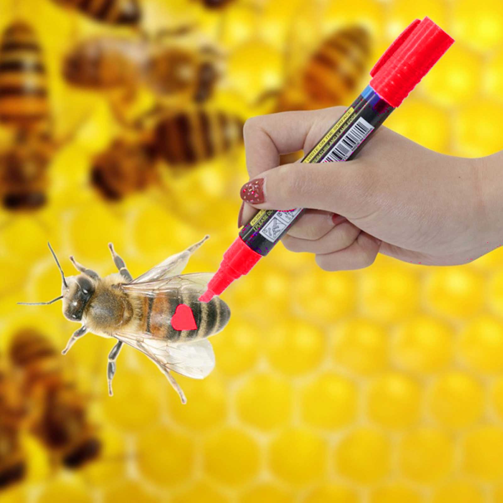 1 Pcs Queen Bee Marking Marker Pen Beekeeping And Bees Tools Queen Bee Mark Plastic Marks Pen Bee Tools